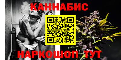 стаф Аргун