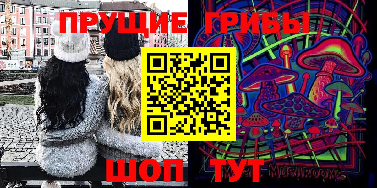 Галлюциногенные грибы Psilocybine cubensis Братск