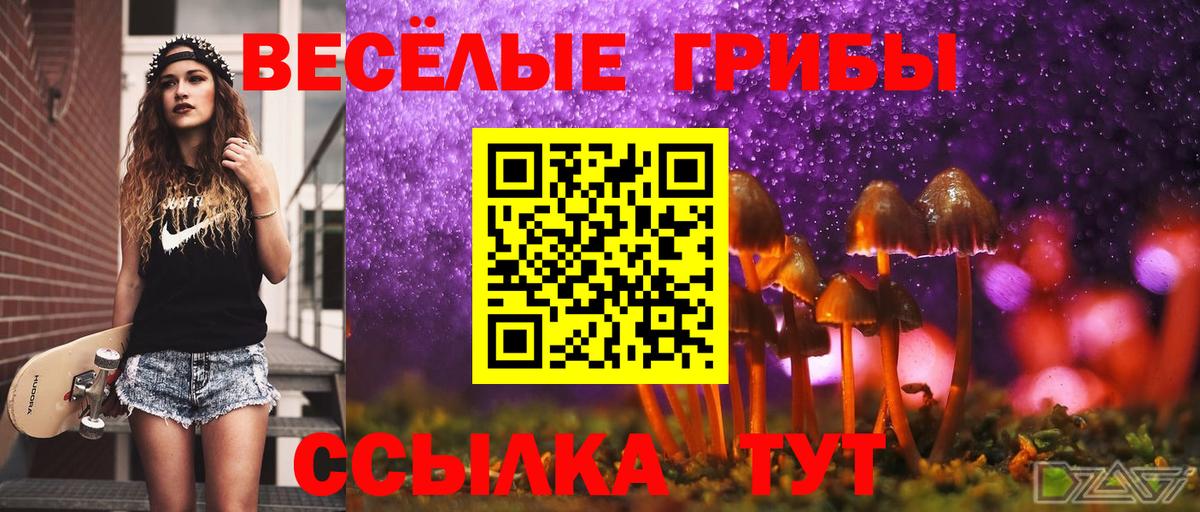 Братск  Псилоцибиновые грибы Cubensis  Вход с VPN 